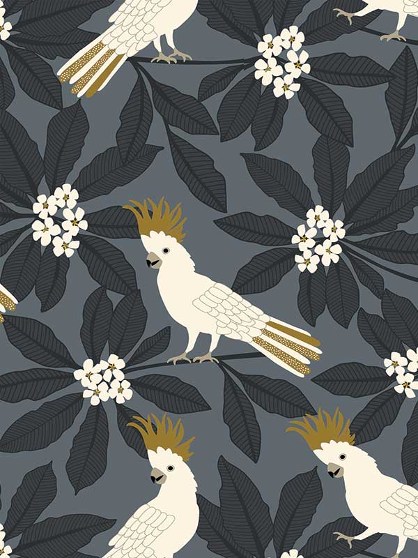 Sulphur Crested Cockatoo Wallpaper