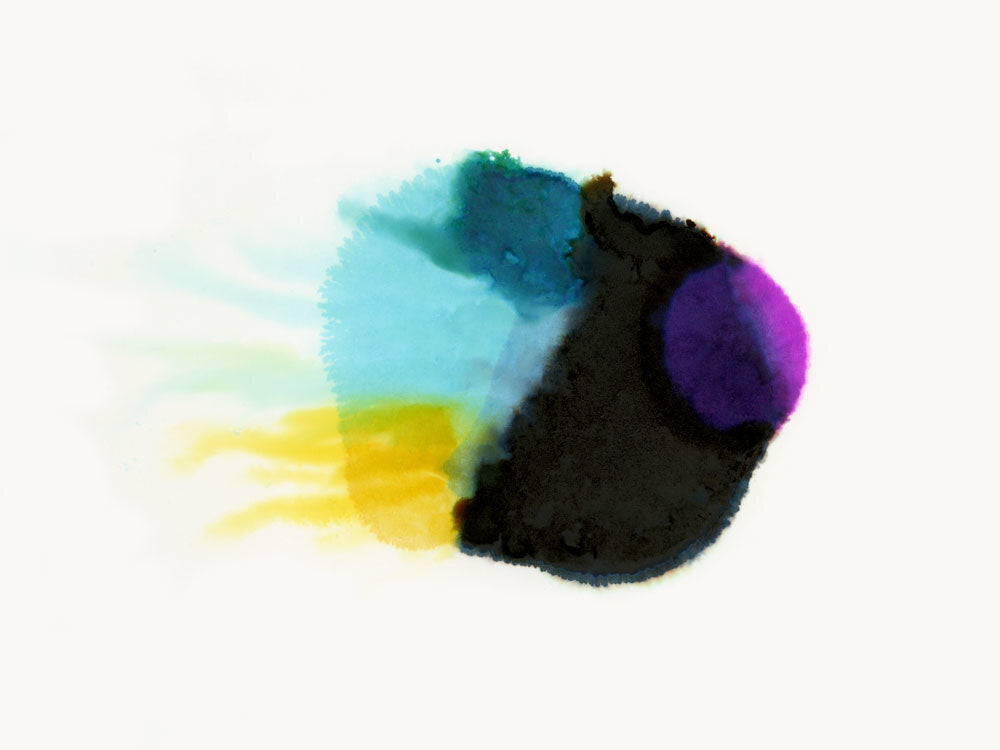 Squid Ink Canvas Art Print