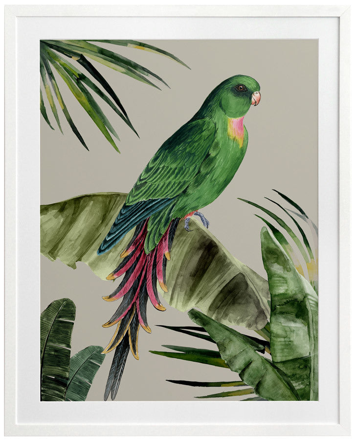 Plume Framed Art Print