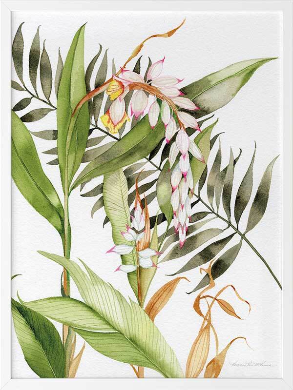 Orcahdia I Framed Art Print