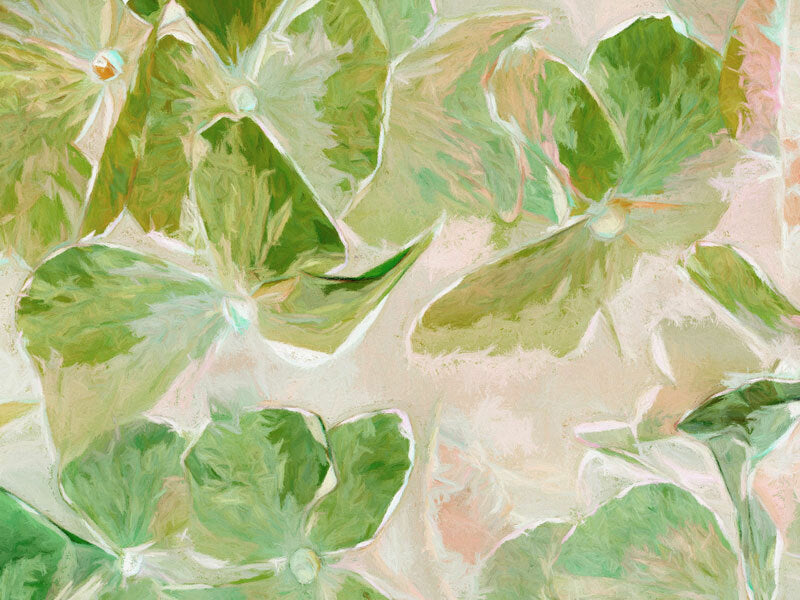 Oakleaf II Canvas Art Print