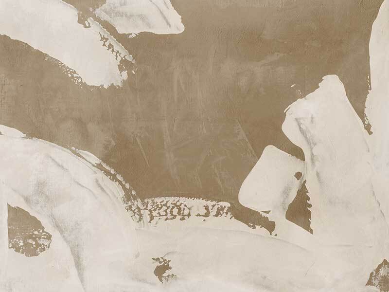 The Elegance of Imperfection II Canvas Art Print