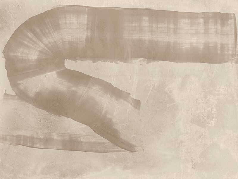 The Mystery of the Unseen Neutral Canvas Art Print