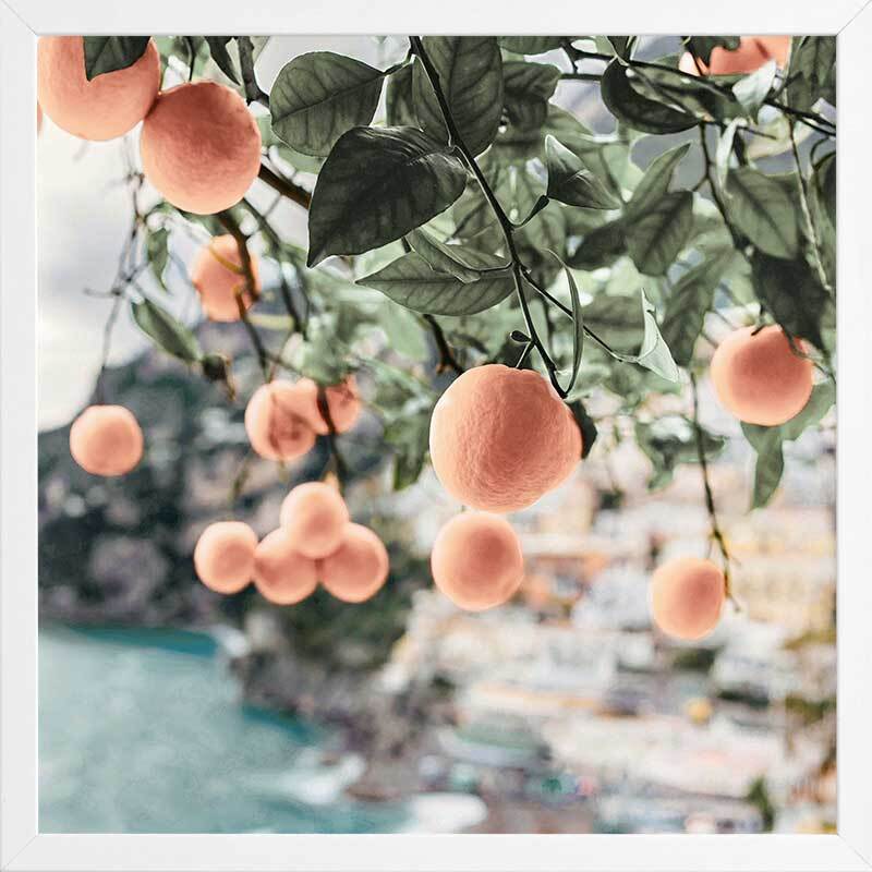 Peachy Dreams Framed Art Print