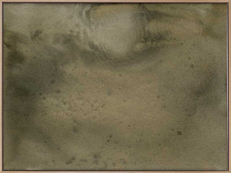 Mossy Memory Canvas Art Print