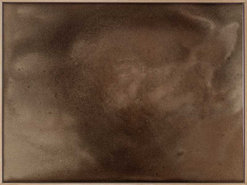 Earthy Canvas Art Print