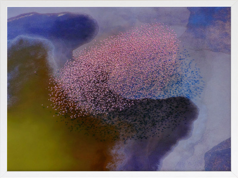 A Flamboyance Framed Art Print