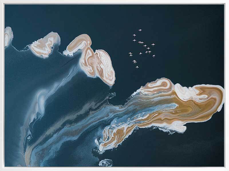 Birds Eye View Canvas Art Print