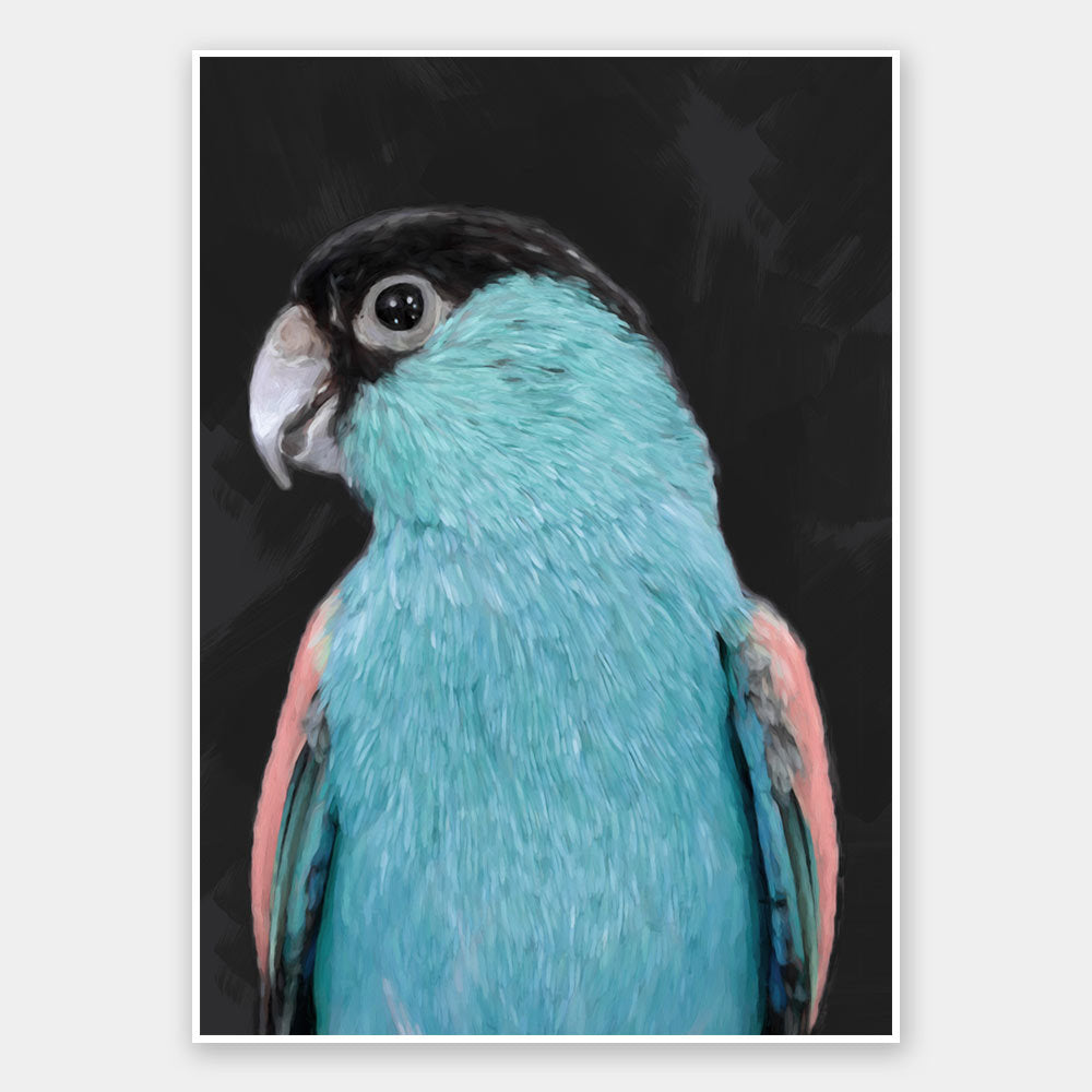 Koah Left Unframed Art Print