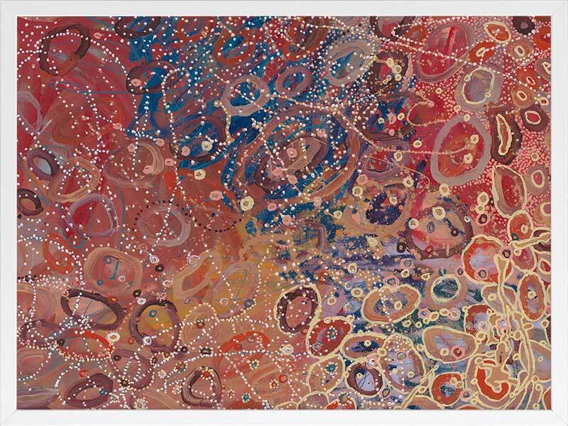 Janganpa Jukurrpa Framed Art Print