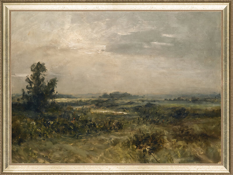 Australian Horizons Canvas Art Print