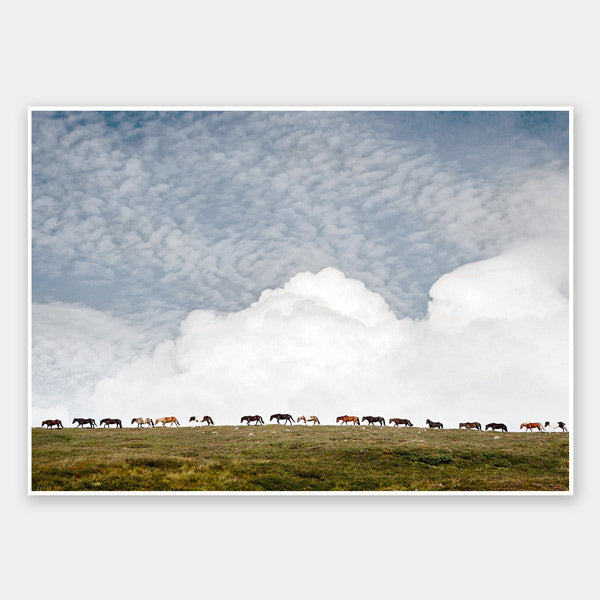 Line Dance Unframed Art Print