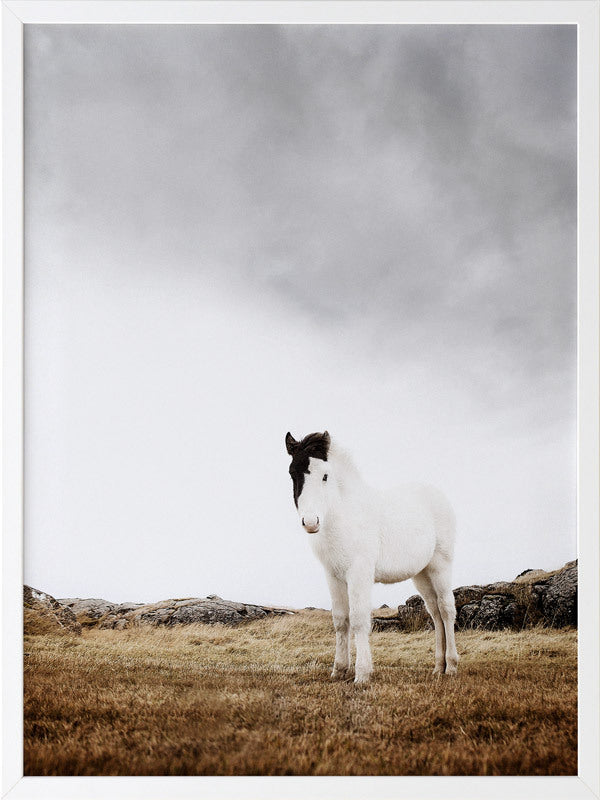 Bowie Framed Art Print