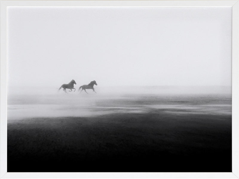 Shadow Framed Art Print