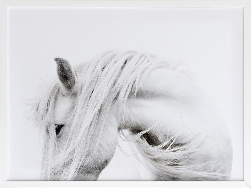 Bashful Framed Art Print