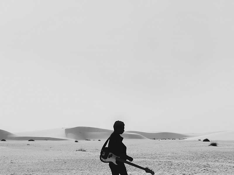 The Boss Canvas Art Print