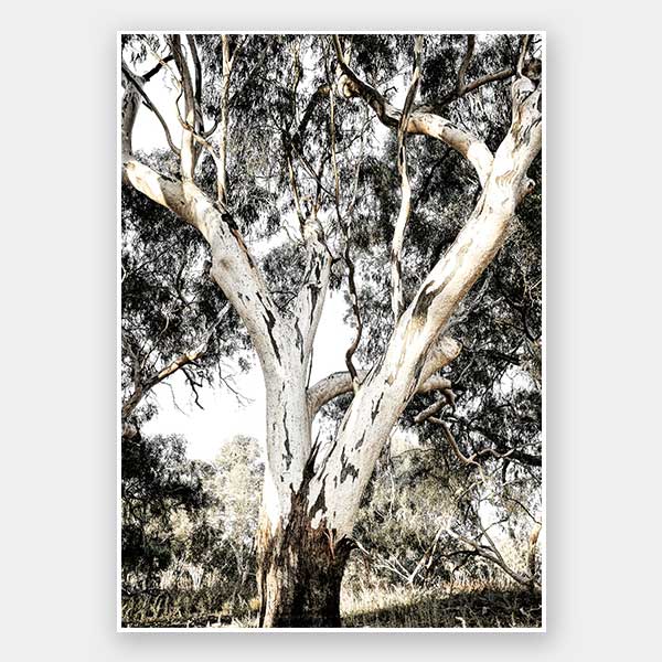 Solitude Unframed Art Print