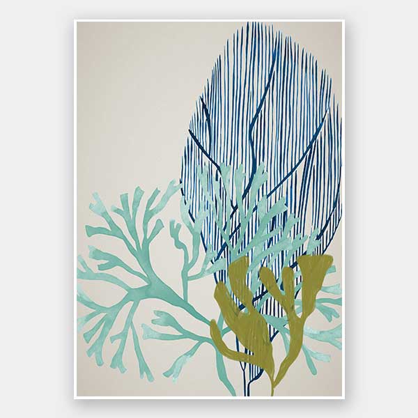 Osprey Reef Unframed Art Print