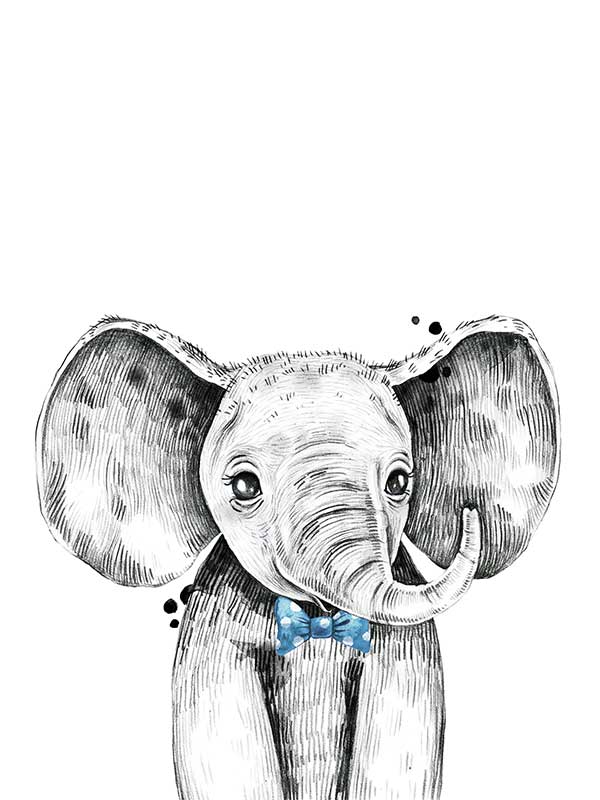 Errol Elephant Canvas Art Print
