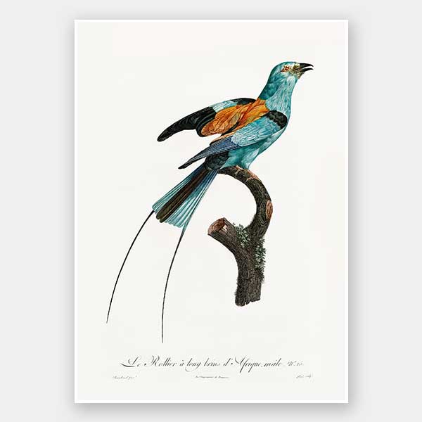 Songbird I Unframed Art Print