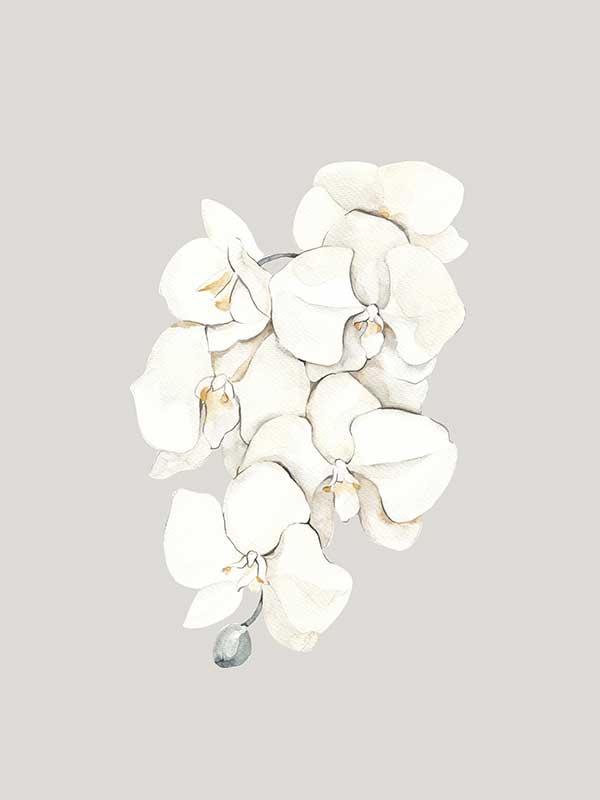 Beige Lilies Canvas Art Print