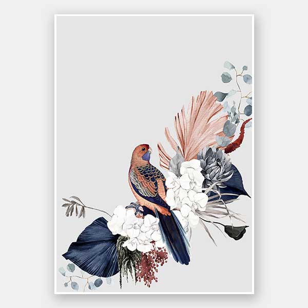 Blushing Rosella Unframed Art Print