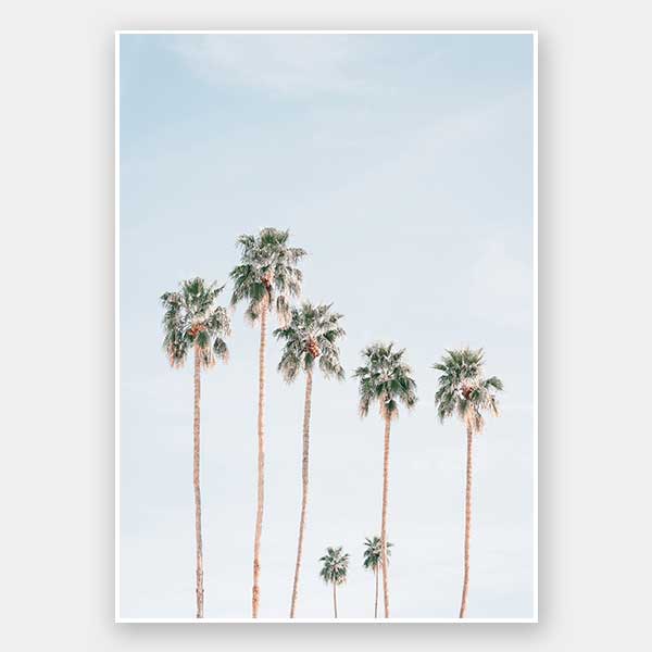 Desert Palms Unframed Art Print