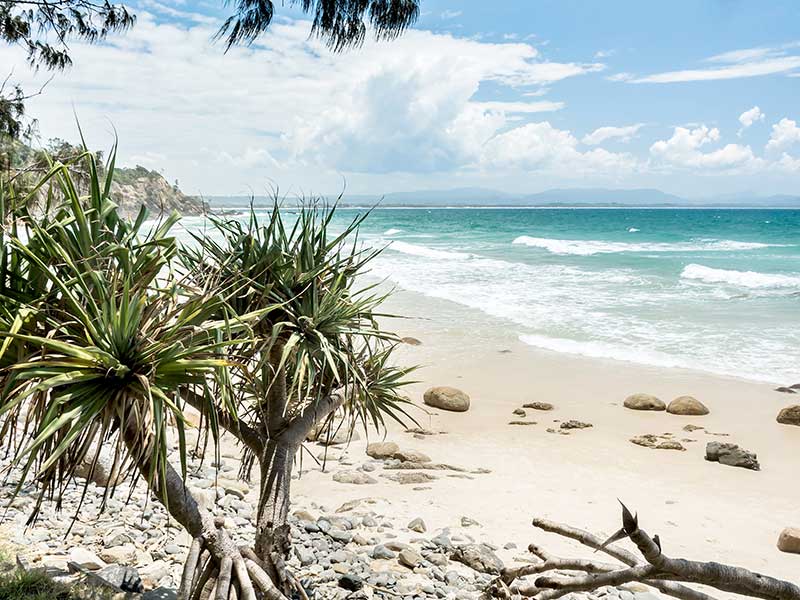 Welcome to Paradise Canvas Art Print