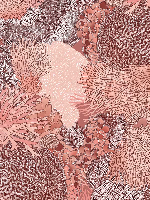 Natural Wonder Wallpaper