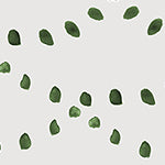 Wallpaper Colour: Dotted Scallops Olive