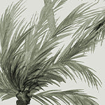 Wallpaper Colour: Island Breeze Olive