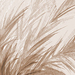 Wallpaper Colour: Island Breeze Sepia