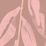 Wallpaper Colour: Olive Branch Blush