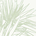 Wallpaper Colour: Pandan Sketch Sage