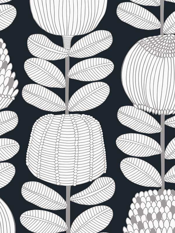 Banksia Lines Wallpaper