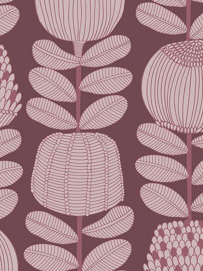 Banksia Lines Wallpaper