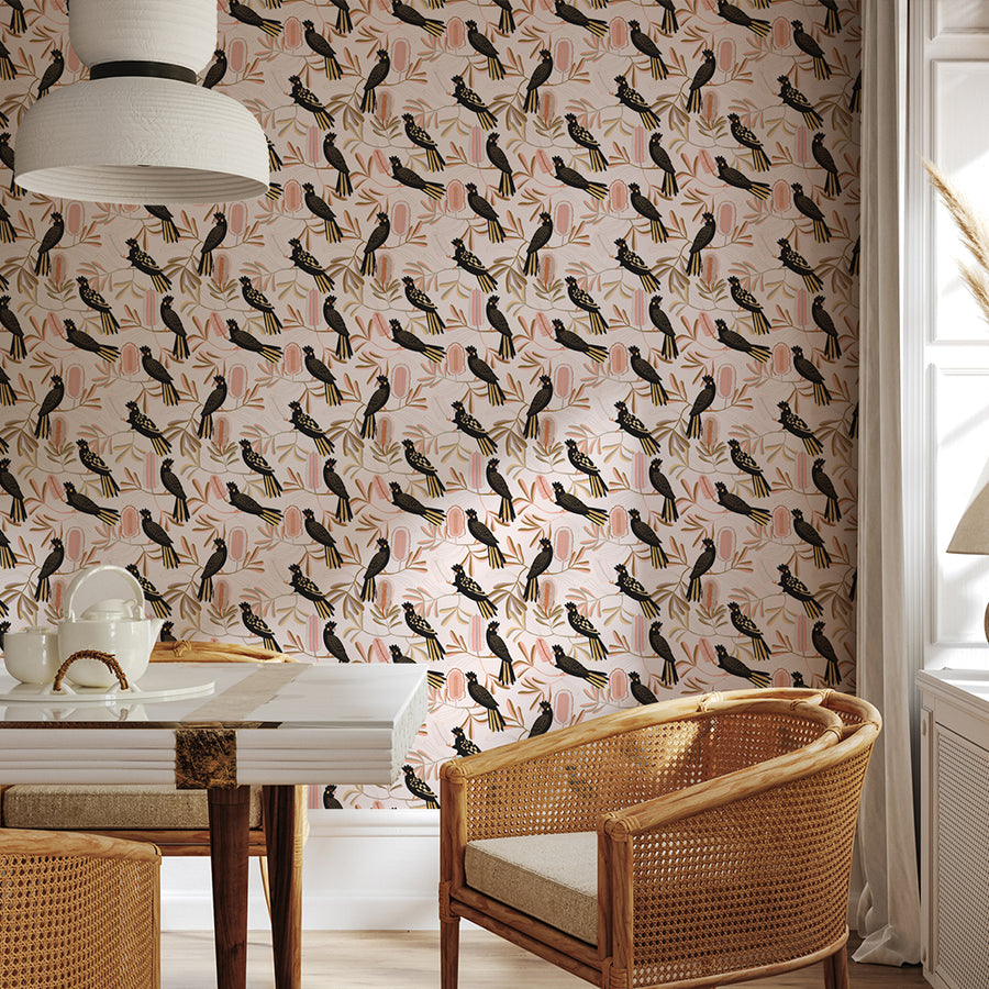 Black Cockatoo Wallpaper | Lifestyle