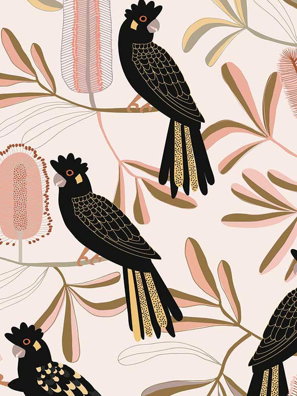 Black Cockatoo Wallpaper