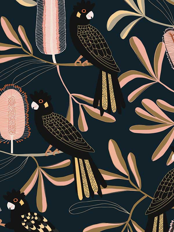 Black Cockatoo Wallpaper