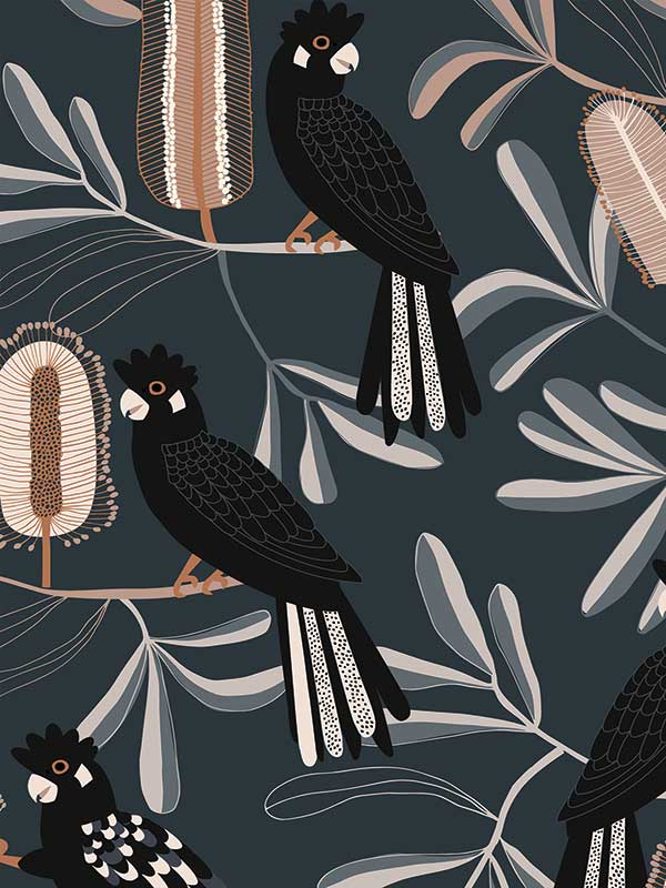 Black Cockatoo Wallpaper