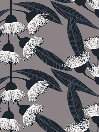 Eucalyptus Wallpaper