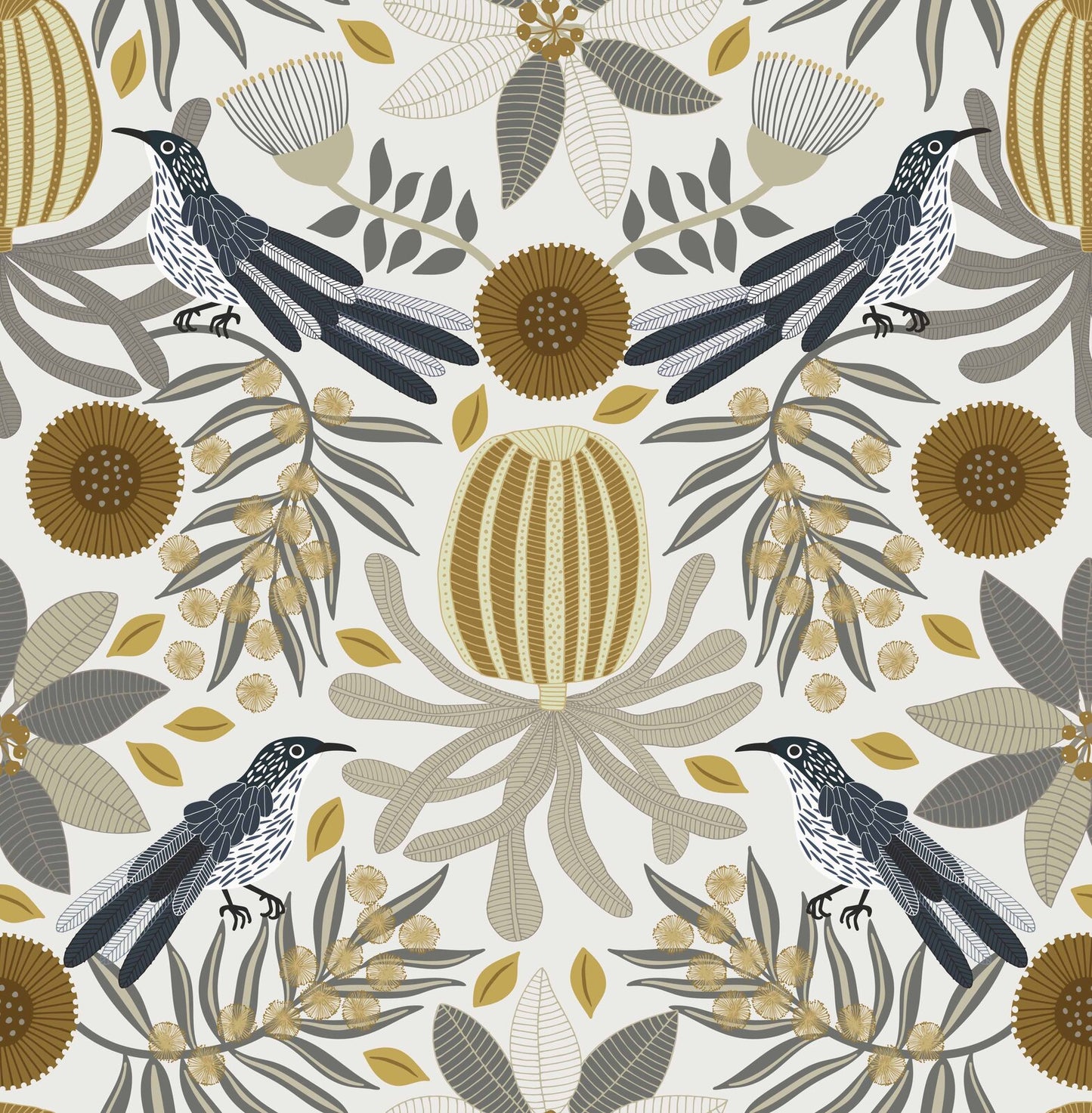 Little Wattlebird Wallpaper