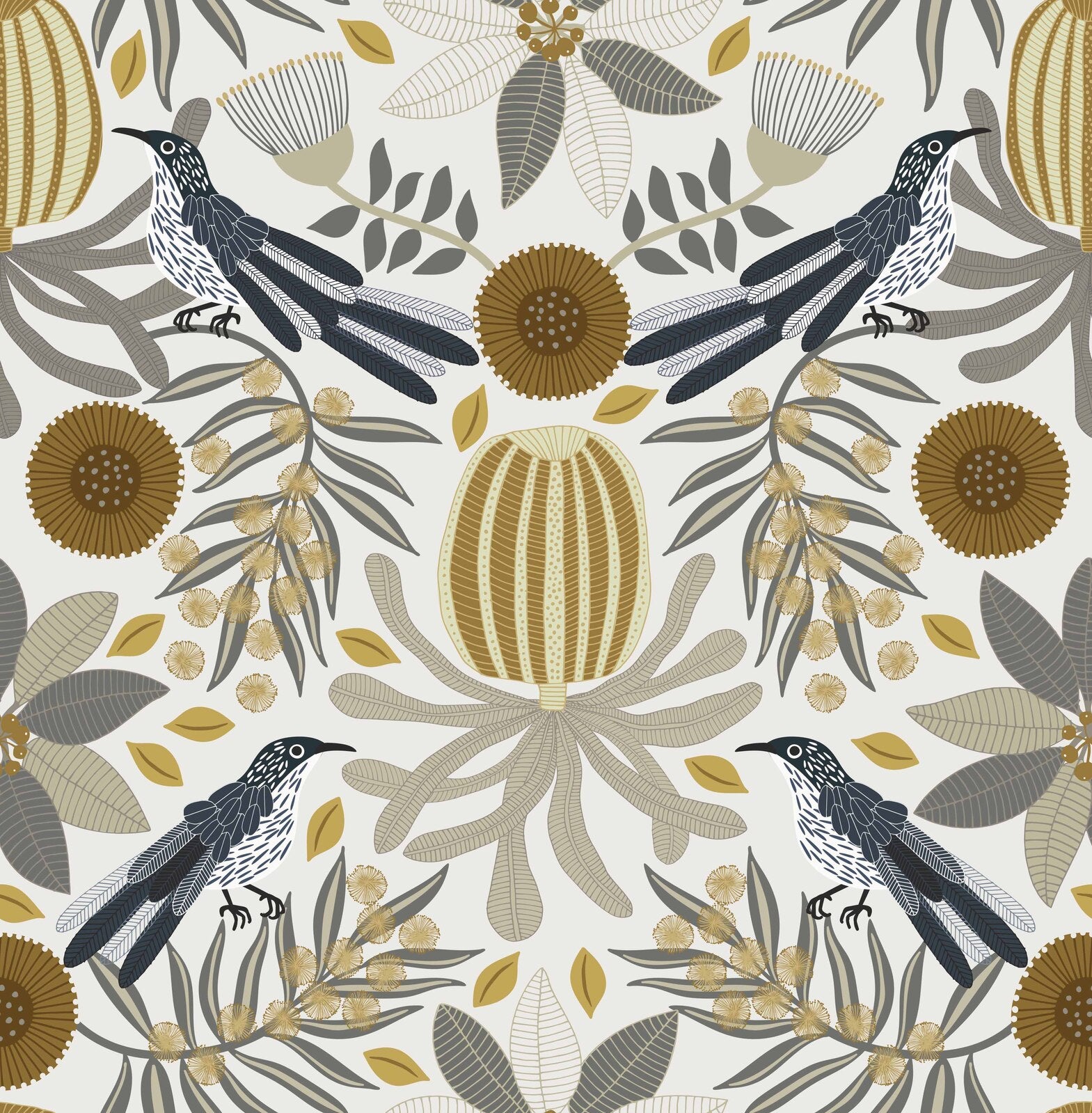 Little Wattlebird Wallpaper