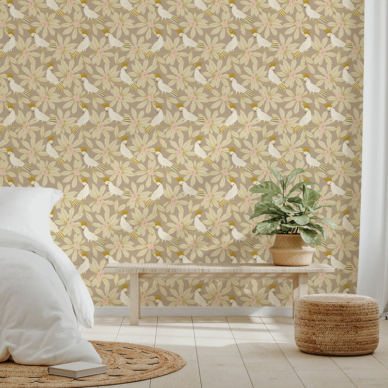 Sulphur Crested Cockatoo Wallpaper | Lifestyle