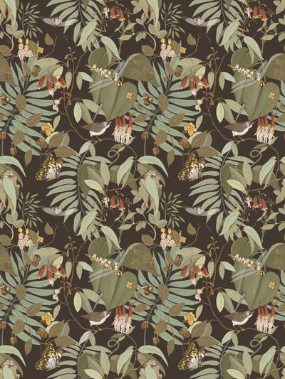 Tales of the Bushland Buddies