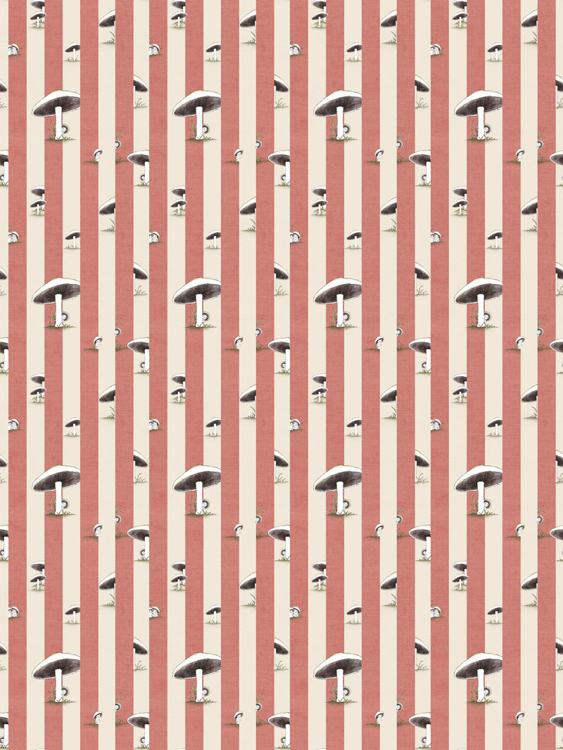 Toadstool Peakaboo Dark