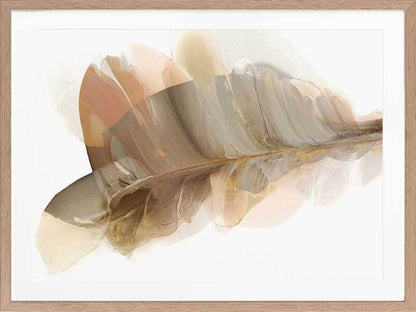 Weightlessness II Framed Art Print