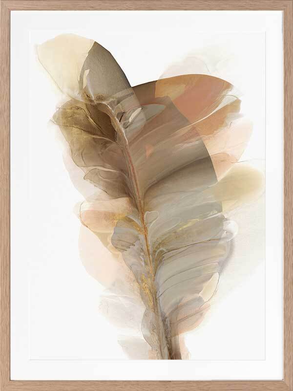 Weightlessness II Framed Art Print