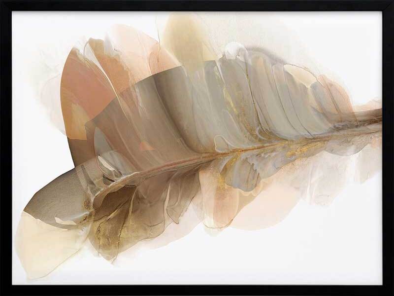 Weightlessness II Framed Art Print