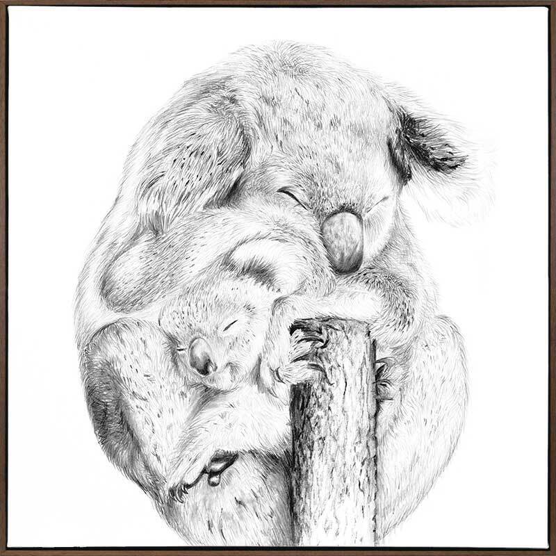 Snuggly Koalas Canvas Art Print